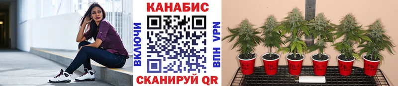 Купить Сатка Конопля A PVP Гашиш Амфетамин mega вход Меф мяу мяу