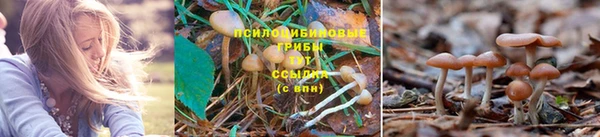 круглые Арсеньев