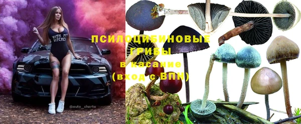 дживик Аркадак