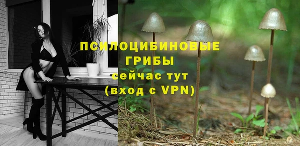 дживик Аркадак